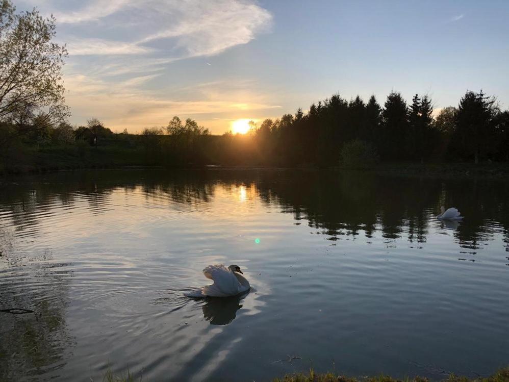 Apartmány Dolní Vítkov Chrastava Exteriér fotografie